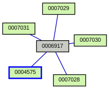 Relationship Graph