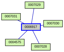 Relationship Graph