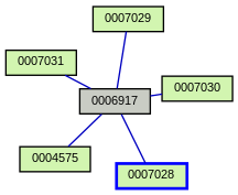 Relationship Graph