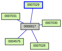 Relationship Graph