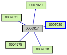 Relationship Graph