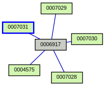 Relationship Graph